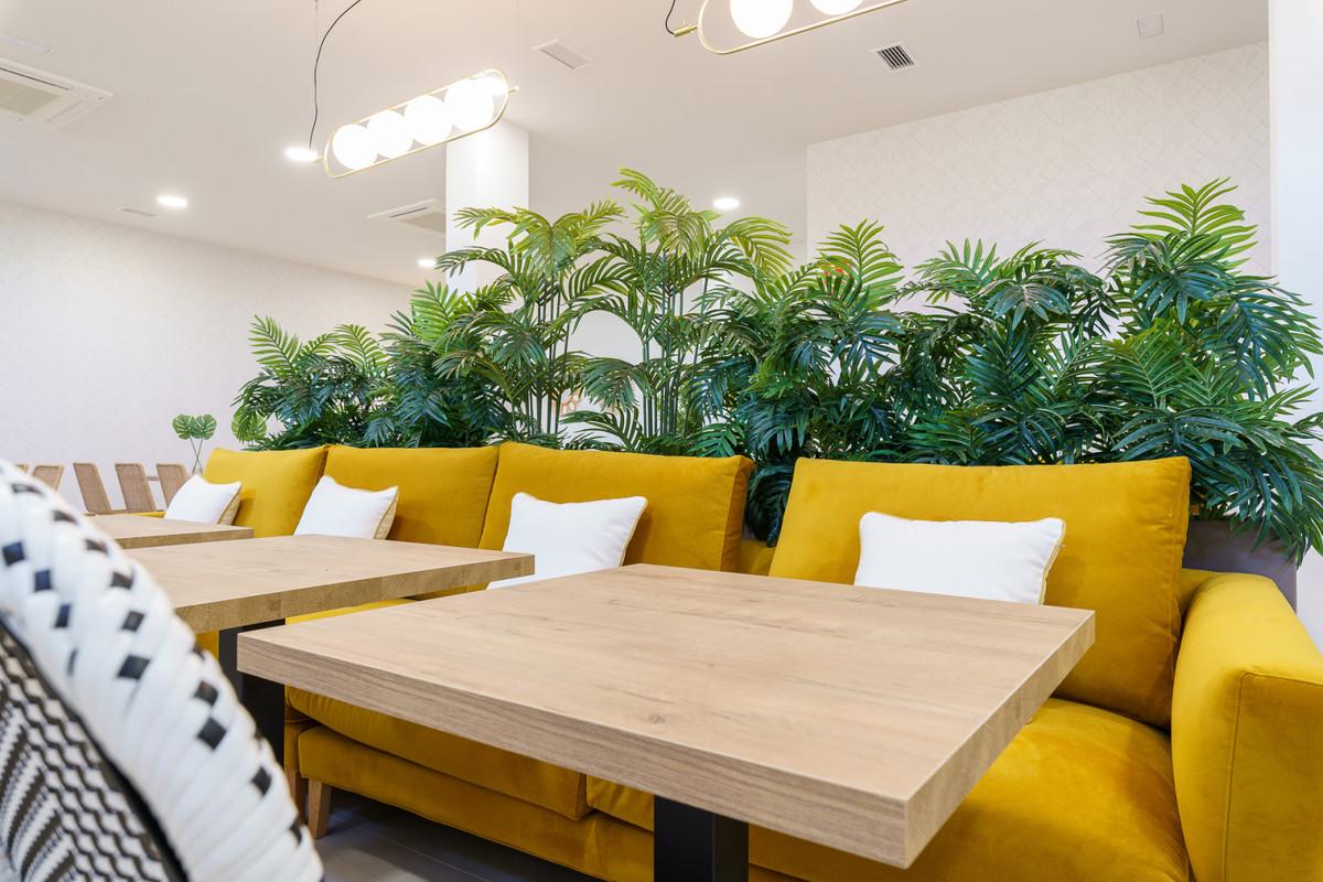 Vitta Nature - mibgroup.es