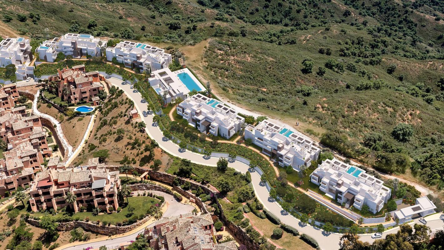 Ocean View - mibgroup.es