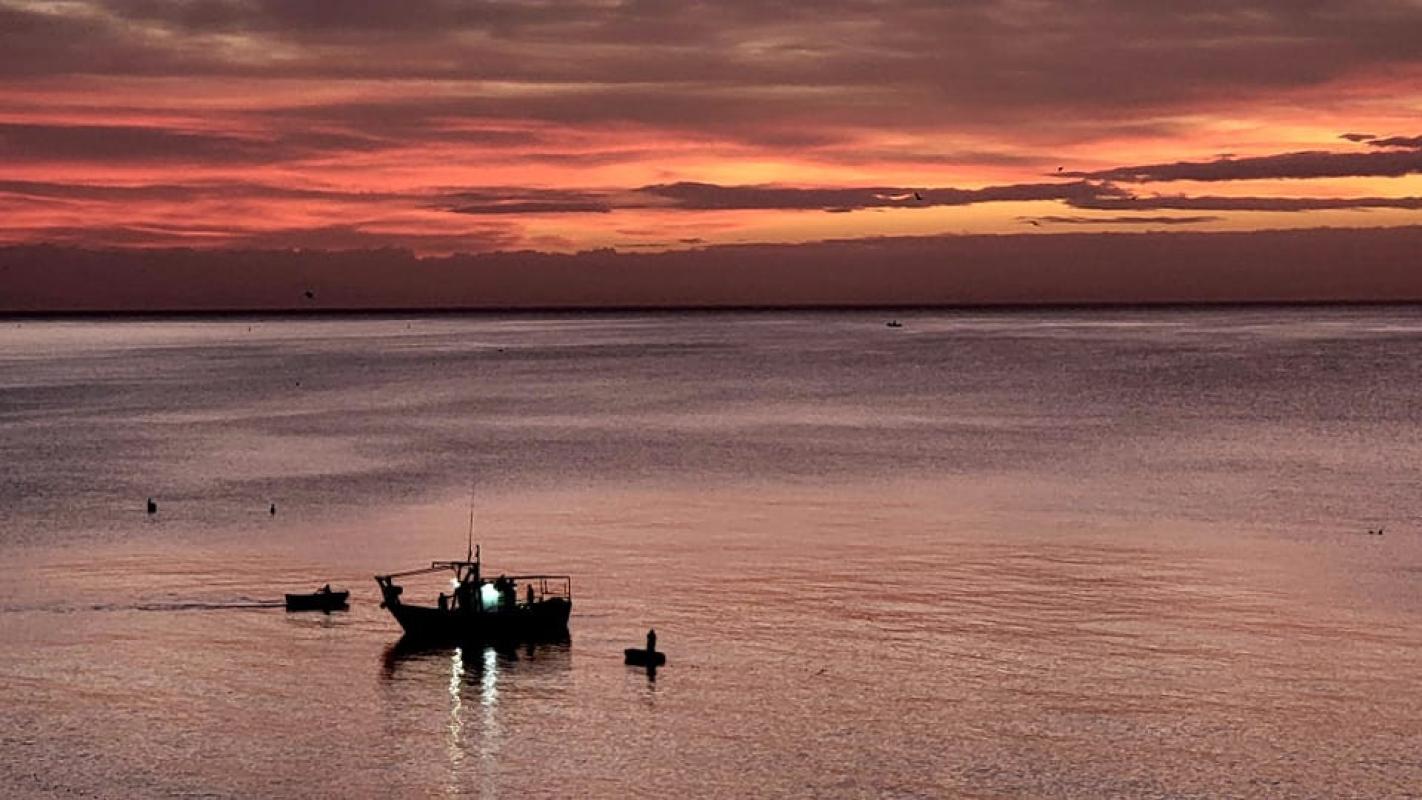 La Paloma Villa 56 - mibgroup.es