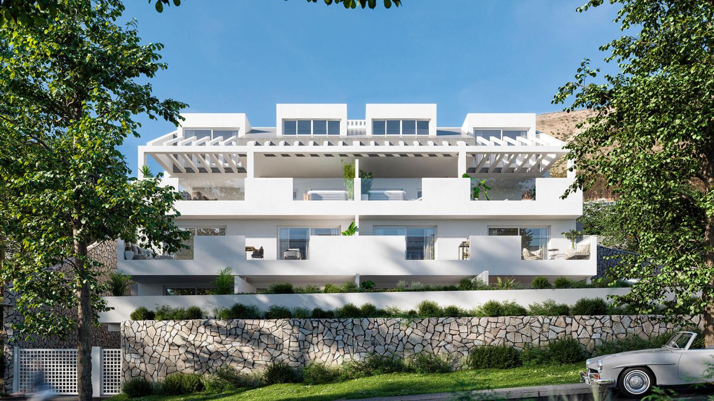 Stella 8 - mibgroup.es